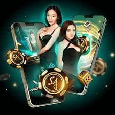 Bangladesh user reading vip casino guide sections across a mobile screen